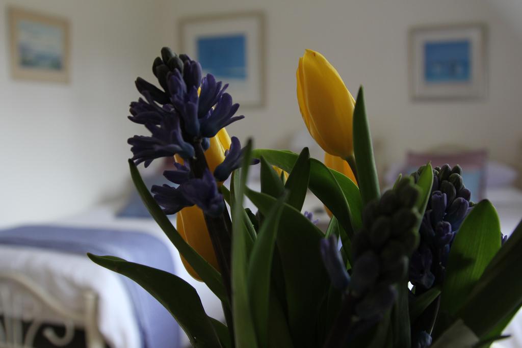 Sunny Cottage Maidenhead Ruang foto